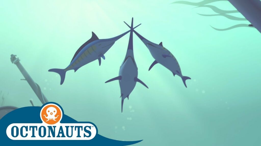 Octonauts Swordfish Kwazii Duels Compilation Cartoons for Kids