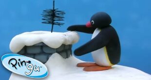 Pingu Does Chores | Pingu Official | 1 Hour | Cartoons for Kids
