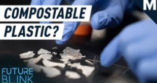 Most ‘Compostable’ Plastics Are Anything But. Enter Polymer-Eating Enzymes | Mashable