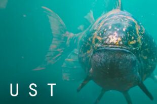Sci-Fi Short Film Jonah by DUST with Oscar Nominated Daniel Kaluuya