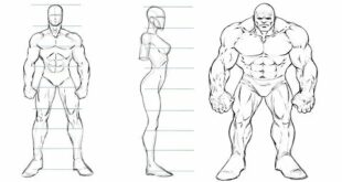 How to Draw Comic Book Characters - Studying Proportions