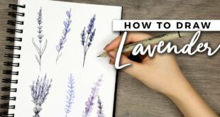 How to Draw Lavender Flowers! | DOODLE WITH ME + Tutorial!