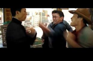 Ip Man's wonderful fighting scene(full action short film) HD 4K clip