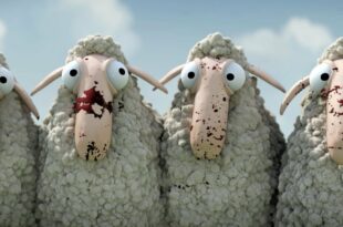 Oh Sheep - Short Animated Film