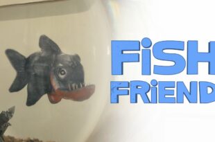 Fish Friend Short Film 63 Million Views Watch Now