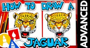 How To Draw A Realistic Jaguar - Advanced - #stayhome and draw #withme