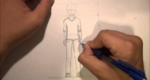How To Draw Anime Male Body Proportion