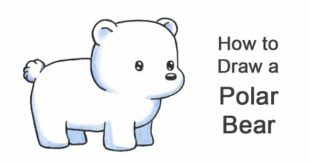 How to Draw a Polar Bear (Cartoon)