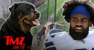 Ezekiel Elliott's Dog Attack Captured On Surveillance Video | TMZ TV