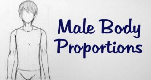 How to Draw Manga: Male Body Proportions