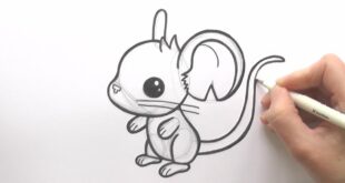 How to Draw a Cartoon Mouse Drawing Transformice - zooshii Style