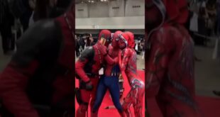 Precious Party for Spider-man|Cosplay Meeting
