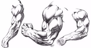 Drawing Muscular Arms Stylized for Comics Demonstration