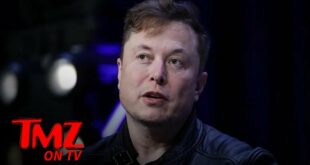 Elon Musk May Have to Risk Having $25 Billion Taxed After Twitter Poll | TMZ TV