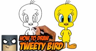 How to Draw Tweety Bird | Step-by-Step Tutorial