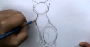 How to draw a basic cat sitting