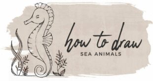 How to Draw Animals | Under the Sea Doodle with me!