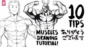 How to Draw Muscles | ANY BODY TYPE with 10 Art Tips