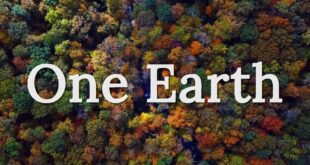 One Earth - Environmental Short Film - watch now !!