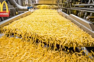McDonalds Food is Made - Fries , Buns , Burgers - Production Processes