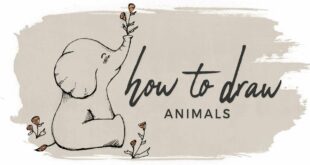 How to Draw Animals | Doodle with me!