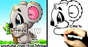 How to Draw Cartoon Animals : How to Draw a Koala - Drawing Step by Step - Learn to Draw - Fun2draw