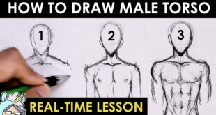 How To Draw Male Torso Three Different Ways