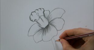 How To Draw a Flower step by step In 6 Minutes!