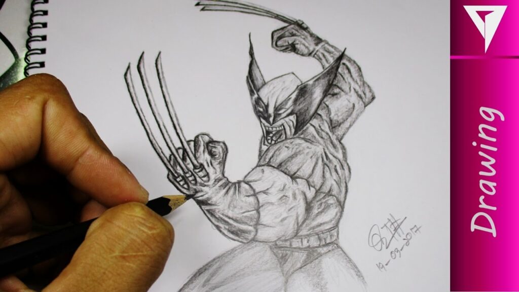 Wolverine  rdrawing