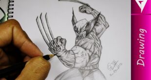 Drawing Wolverine - How To Draw Pencil Art | Marvel Comic