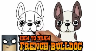 How to Draw a Dog | French Bulldog