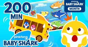 Baby Shark Bus Goes Round and Round! | +Compilation | ALL Baby Shark Stories | Baby Shark Official