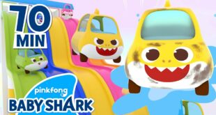 Best Baby Shark 1 hour | +Compilation | Baby Shark Doo Doo Doo | Baby Shark Official