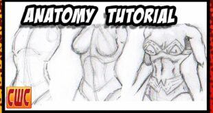 How to draw a female torso QUICKLY for comics step by step