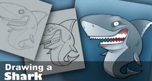 Drawing a Cartoon Shark [Speed Drawing, Painting, Drawing Cartoons]
