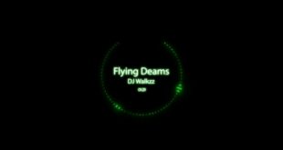 Alan Walker - Flying Dreams
