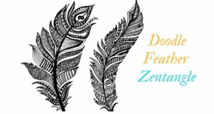 HOW TO DOODLE FEATHER - ZENTANGLE